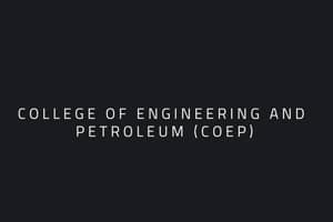 You are currently viewing College of Engineering and Petroleum